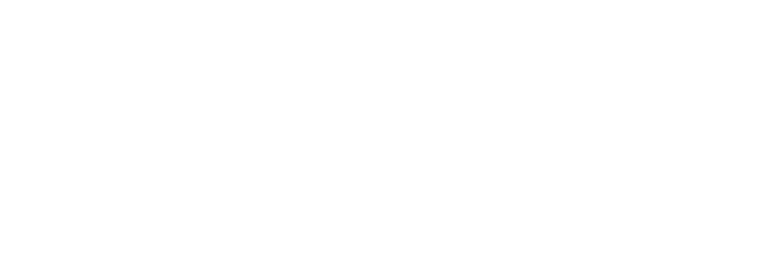Anzenix Logo White